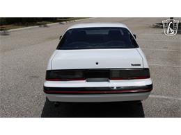 1988 Ford Thunderbird (CC-2070268) for sale in Ruskin, Florida
