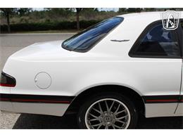 1988 Ford Thunderbird (CC-2070268) for sale in Ruskin, Florida