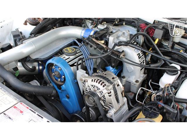 1988 Ford Thunderbird (CC-2070268) for sale in Ruskin, Florida