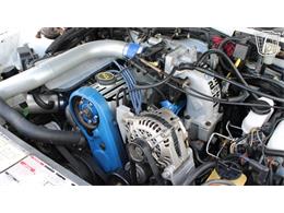 1988 Ford Thunderbird (CC-2070268) for sale in Ruskin, Florida
