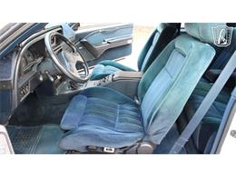 1988 Ford Thunderbird (CC-2070268) for sale in Ruskin, Florida