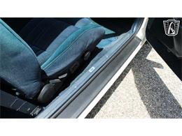 1988 Ford Thunderbird (CC-2070268) for sale in Ruskin, Florida