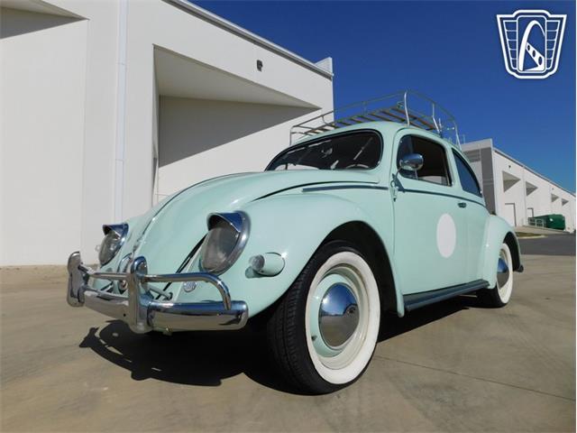 1961 Volkswagen Beetle (CC-2070269) for sale in Concord, North Carolina