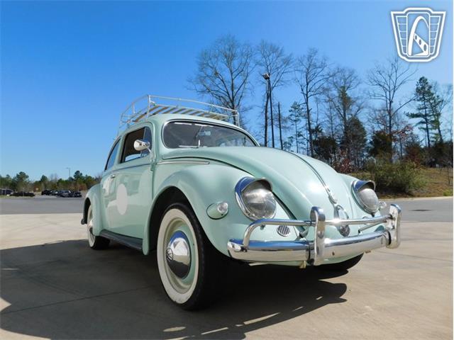 1961 Volkswagen Beetle (CC-2070269) for sale in Concord, North Carolina