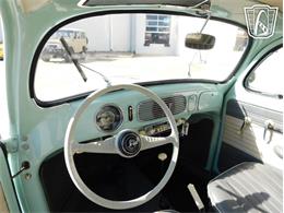1961 Volkswagen Beetle (CC-2070269) for sale in Concord, North Carolina