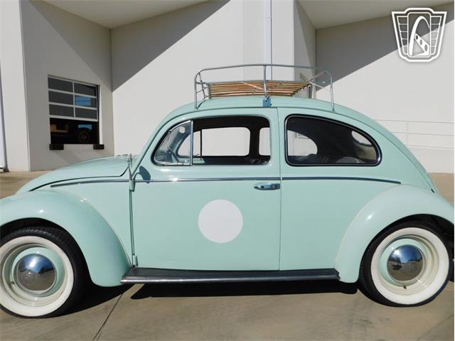 1961 Volkswagen Beetle (CC-2070269) for sale in Concord, North Carolina