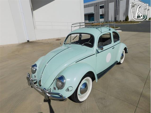 1961 Volkswagen Beetle (CC-2070269) for sale in Concord, North Carolina