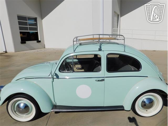 1961 Volkswagen Beetle (CC-2070269) for sale in Concord, North Carolina