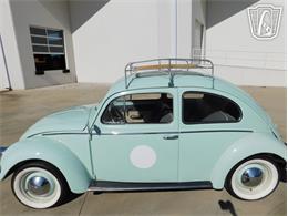 1961 Volkswagen Beetle (CC-2070269) for sale in Concord, North Carolina