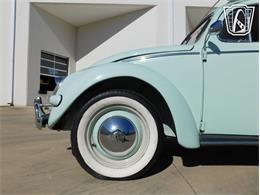 1961 Volkswagen Beetle (CC-2070269) for sale in Concord, North Carolina