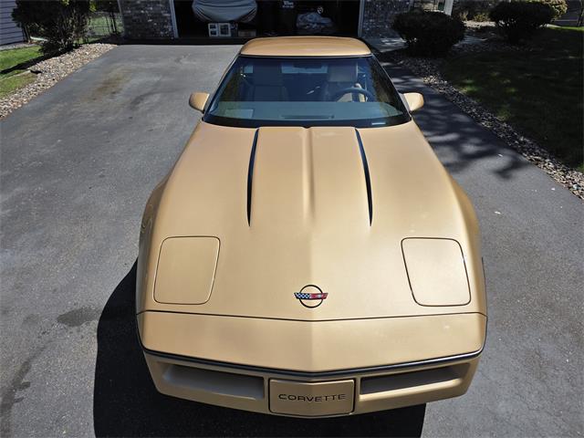 1982 Chevrolet Corvette C4 (CC-2072693) for sale in Waconia, Minnesota