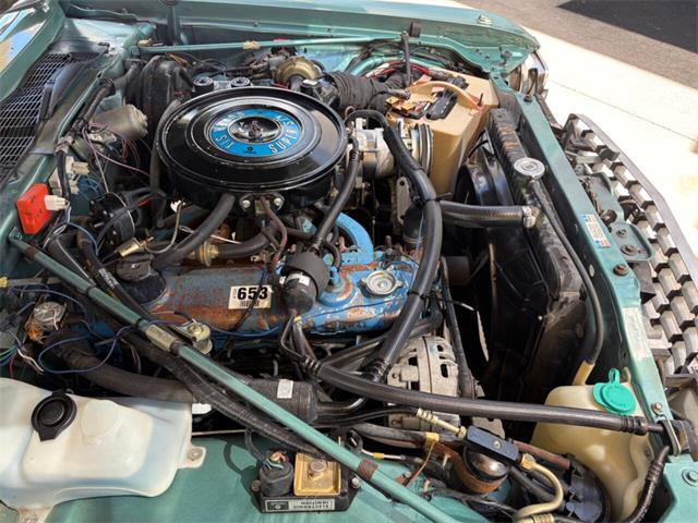 1979 Plymouth Volare (CC-2070271) for sale in Bradenton, Florida