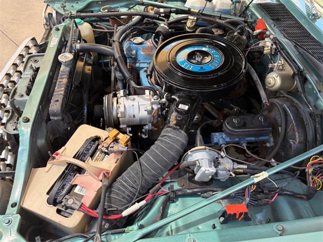 1979 Plymouth Volare (CC-2070271) for sale in Bradenton, Florida