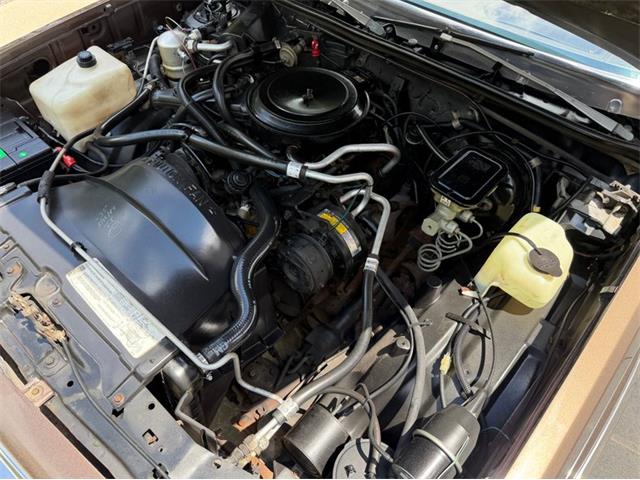 1984 Chevrolet El Camino (CC-2072730) for sale in Newfield, New Jersey