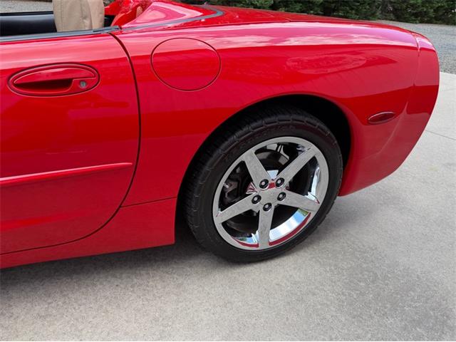 1999 Chevrolet Corvette (CC-2072739) for sale in Newfield, New Jersey