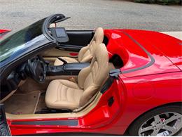 1999 Chevrolet Corvette (CC-2072739) for sale in Newfield, New Jersey
