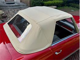 1966 Mercedes-Benz 230SL (CC-2072789) for sale in Jacksonville, Florida