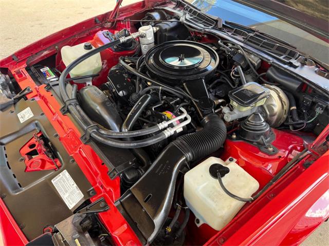 1983 Chevrolet Camaro (CC-2070280) for sale in Bradenton, Florida