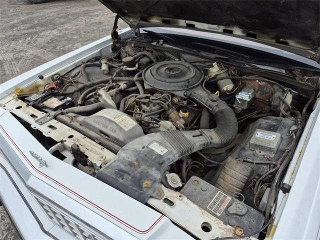 1985 Ford LTD (CC-2072901) for sale in Trenton, Ontario
