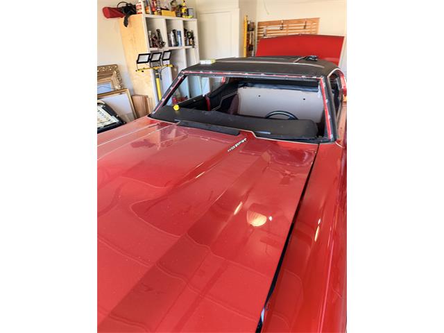 1971 Chevrolet Chevelle SS (CC-2072905) for sale in Scottsdale, Arizona