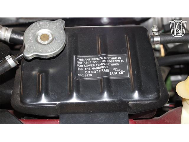 1995 Jaguar XJS (CC-2072948) for sale in Peoria, Arizona