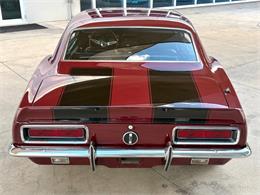 1967 Chevrolet Camaro (CC-2072959) for sale in Bradenton, Florida