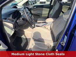 2013 Ford Escape (CC-2072970) for sale in Brookings, South Dakota