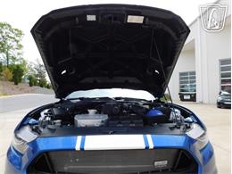 2017 Ford Mustang (CC-2070301) for sale in Concord, North Carolina