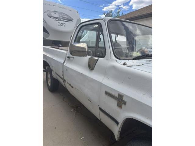 1981 Chevrolet K-20 (CC-2073011) for sale in Cadillac, Michigan