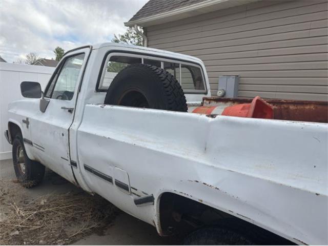 1981 Chevrolet K-20 (CC-2073011) for sale in Cadillac, Michigan