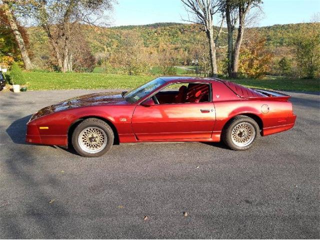 1987 Pontiac Firebird (CC-2073021) for sale in Cadillac, Michigan