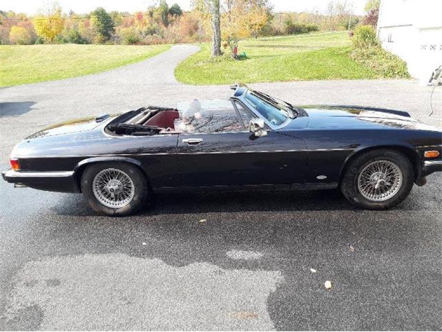 1988 Jaguar XJS (CC-2073025) for sale in Cadillac, Michigan