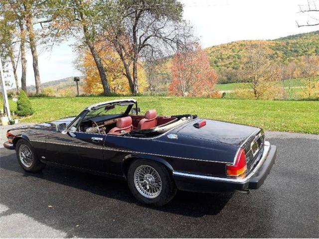 1988 Jaguar XJS (CC-2073025) for sale in Cadillac, Michigan