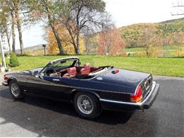 1988 Jaguar XJS (CC-2073025) for sale in Cadillac, Michigan