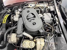 1982 Chevrolet Corvette (CC-2073056) for sale in Hilton, New York