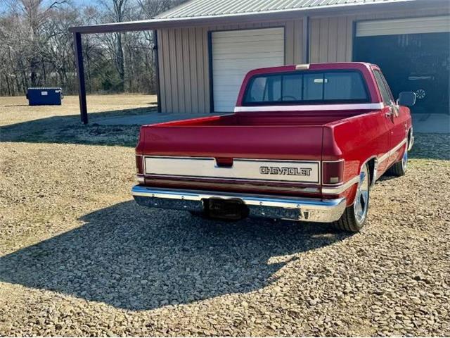 1985 Chevrolet C10 (CC-2070309) for sale in Cadillac, Michigan