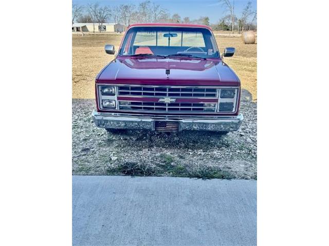 1985 Chevrolet C10 (CC-2070309) for sale in Cadillac, Michigan