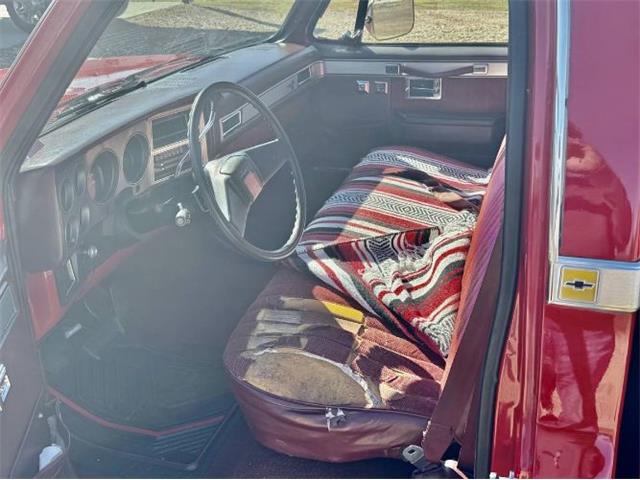 1985 Chevrolet C10 (CC-2070309) for sale in Cadillac, Michigan