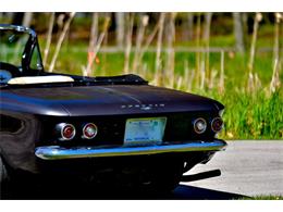 1964 Chevrolet Corvair (CC-2073118) for sale in Manistee, Michigan