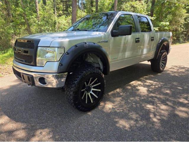 2014 Ford F150 (CC-2070312) for sale in Cadillac, Michigan