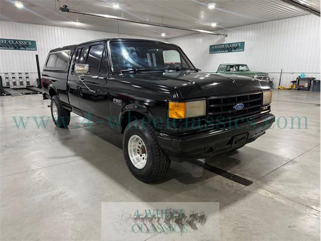 1991 Ford F150 (CC-2073120) for sale in Holland , Michigan