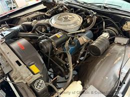 1977 Ford LTD (CC-2073134) for sale in Las Vegas, Nevada
