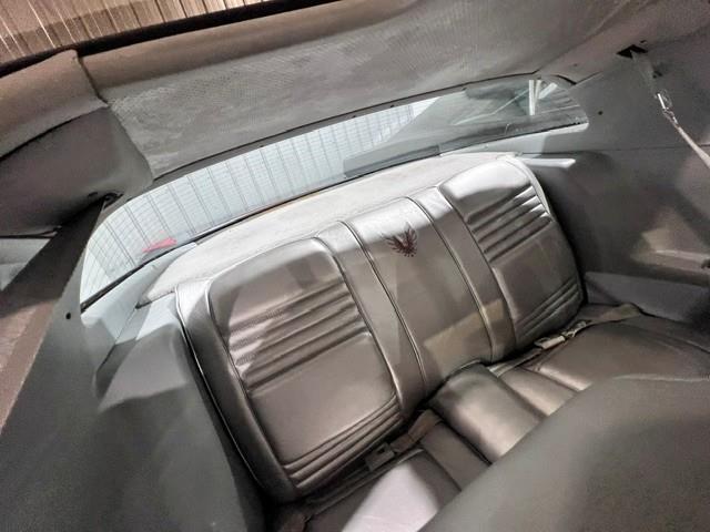 1979 Pontiac Firebird Trans Am (CC-2073141) for sale in Miami, Florida