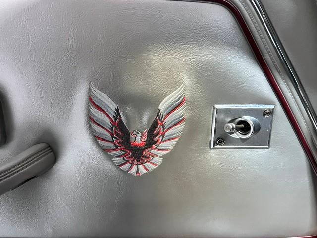 1979 Pontiac Firebird Trans Am (CC-2073141) for sale in Miami, Florida