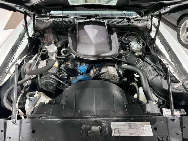 1979 Pontiac Firebird Trans Am (CC-2073141) for sale in Miami, Florida