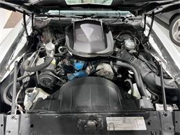 1979 Pontiac Firebird Trans Am (CC-2073141) for sale in Miami, Florida
