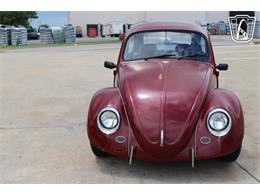 1966 Volkswagen Beetle (CC-2073161) for sale in Tulsa, Oklahoma