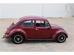 1966 Volkswagen Beetle (CC-2073161) for sale in Tulsa, Oklahoma
