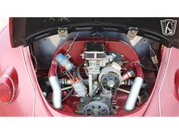 1966 Volkswagen Beetle (CC-2073161) for sale in Tulsa, Oklahoma