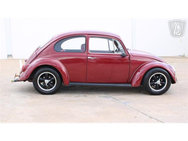 1966 Volkswagen Beetle (CC-2073161) for sale in Tulsa, Oklahoma
